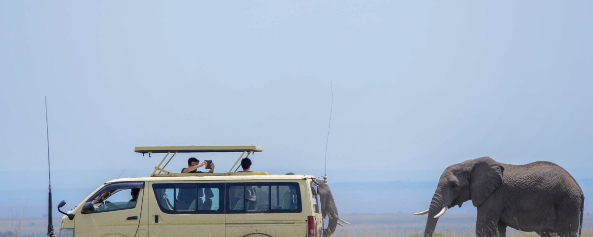 Can I Do a Budget Safari in Uganda?