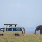 Can I Do a Budget Safari in Uganda?