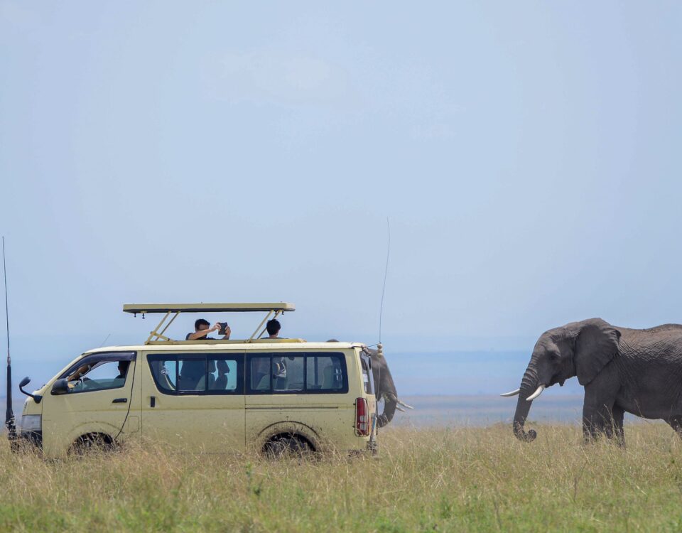 Can I Do a Budget Safari in Uganda?