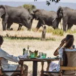 When Is the Best Time for Tanzania Cultural Safaris?