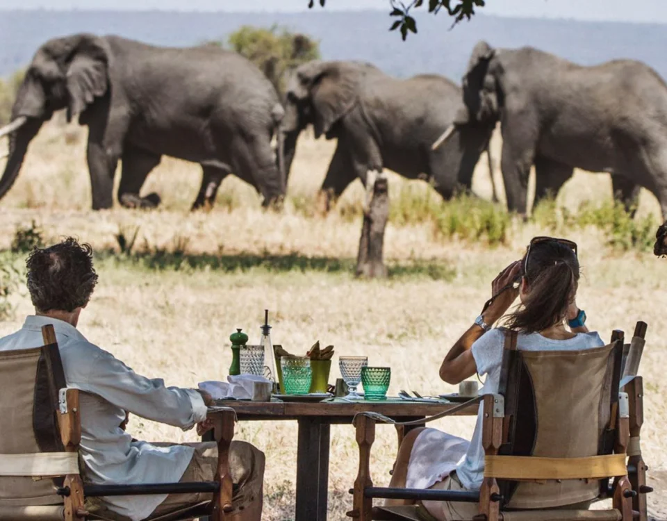 When Is the Best Time for Tanzania Cultural Safaris?