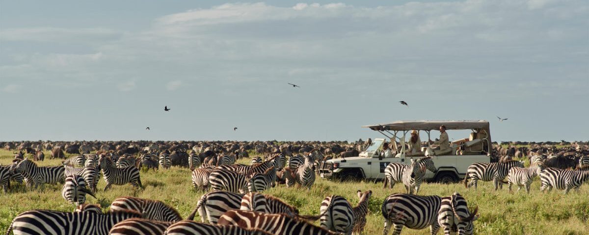 Is Kenya or Tanzania Better for Safari?