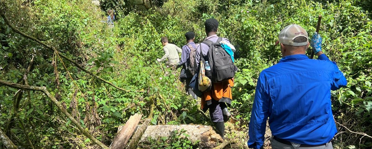 Should I Tip During My Journey with Firante Gorilla Treks?