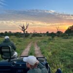 How Long Do Game Drives Last?