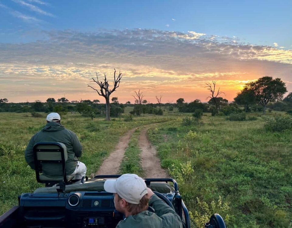 How Long Do Game Drives Last?