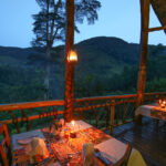 What’s the Best Accommodation for a Uganda Safari?