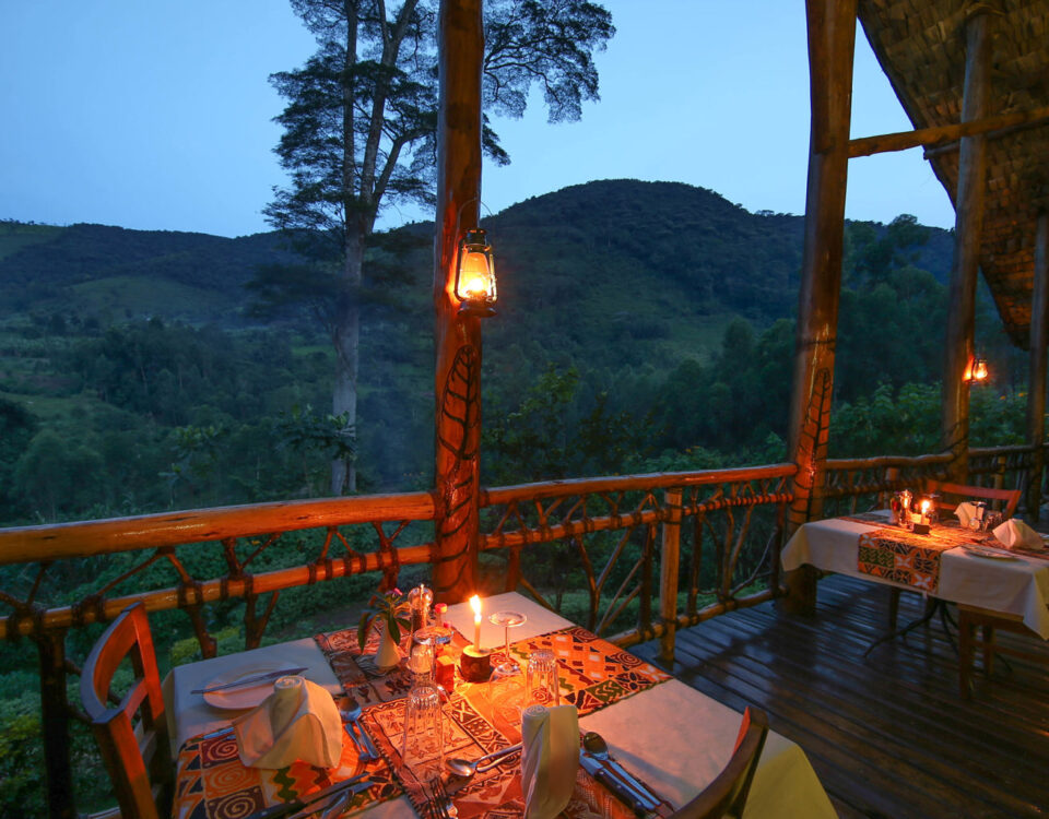 What’s the Best Accommodation for a Uganda Safari?