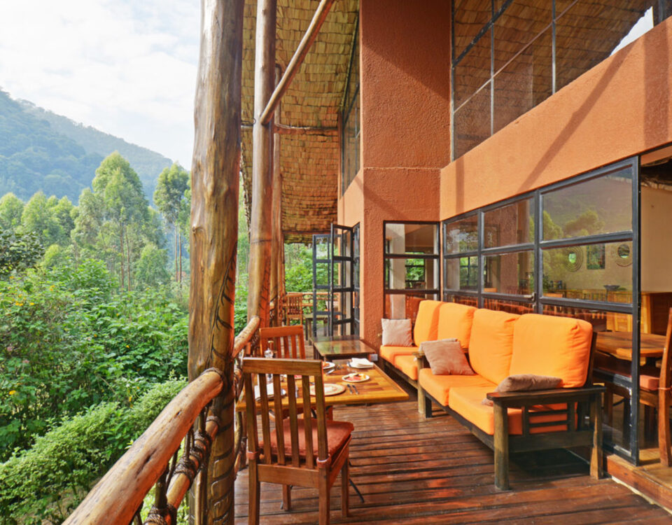 Are There Luxury Safari Options in Uganda?