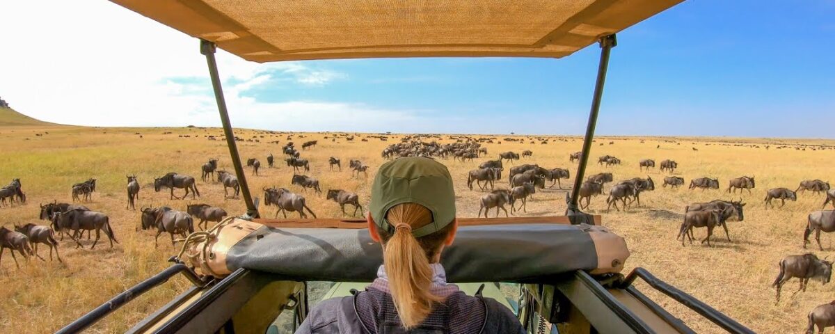 How Much Does a Trip to the Serengeti Cost?