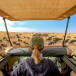 How Much Does a Trip to the Serengeti Cost?