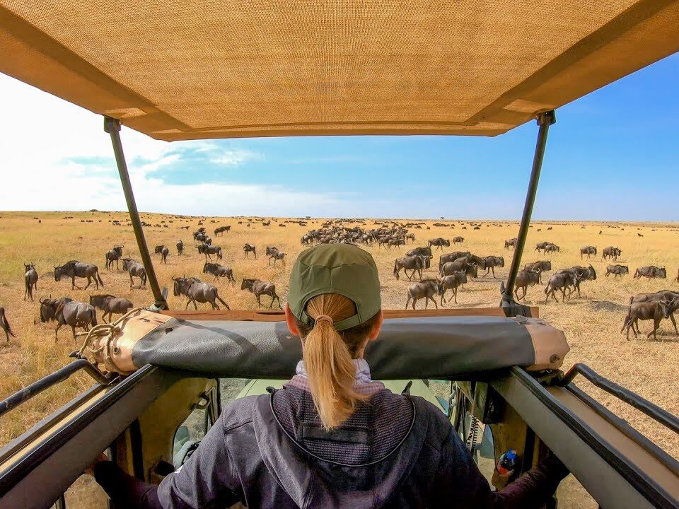 How Much Does a Trip to the Serengeti Cost?