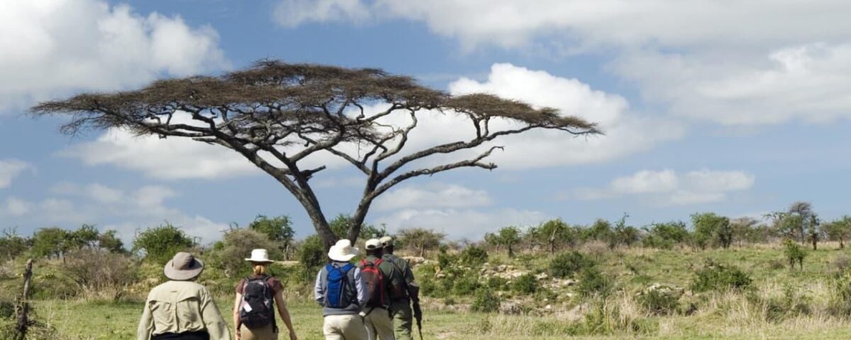 Why Not Wear White on Safari?