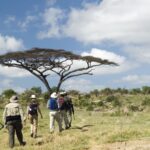 Why Not Wear White on Safari?
