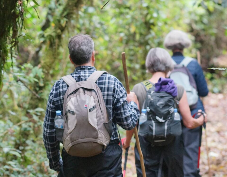 What Currency Should I Bring?