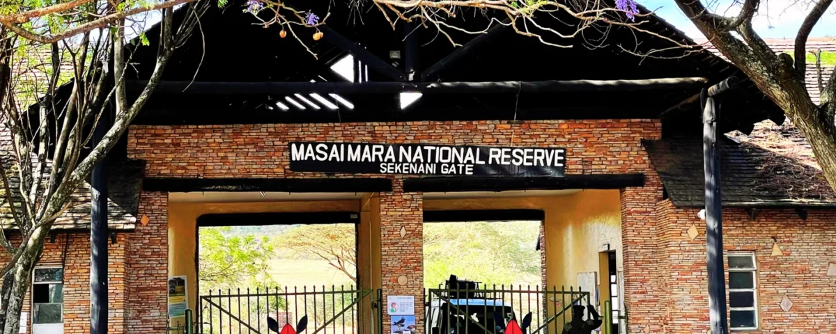 How Much Does It Cost to Enter Masai Mara National Park?