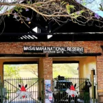 How Much Does It Cost to Enter Masai Mara National Park?