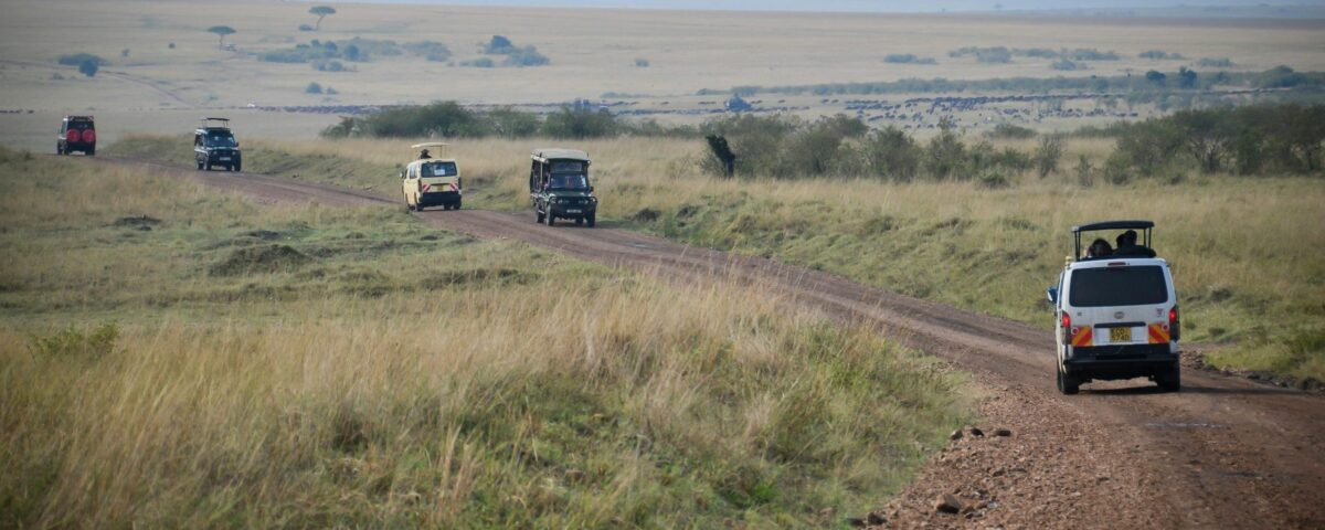 How Do I Get Around Uganda for a Safari? 