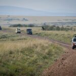 How Do I Get Around Uganda for a Safari? 
