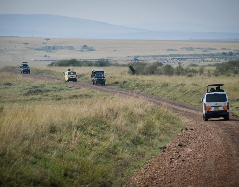 How Do I Get Around Uganda for a Safari? 