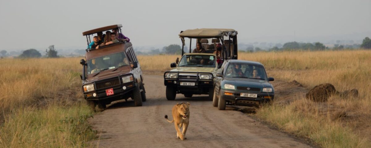 How Long Does a Game Drive Take?