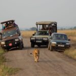 How Long Does a Game Drive Take?