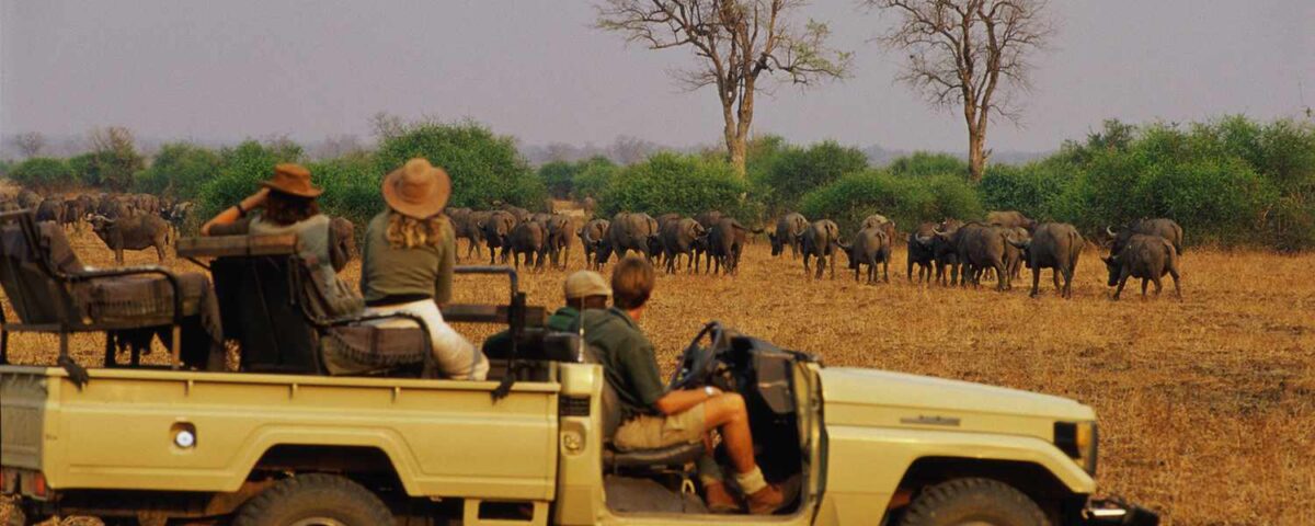 What Is the Number One National Park in Africa?