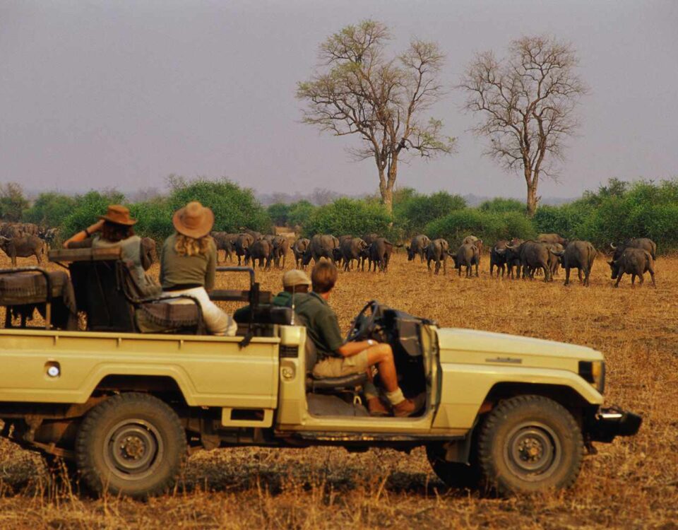 What Is the Number One National Park in Africa?