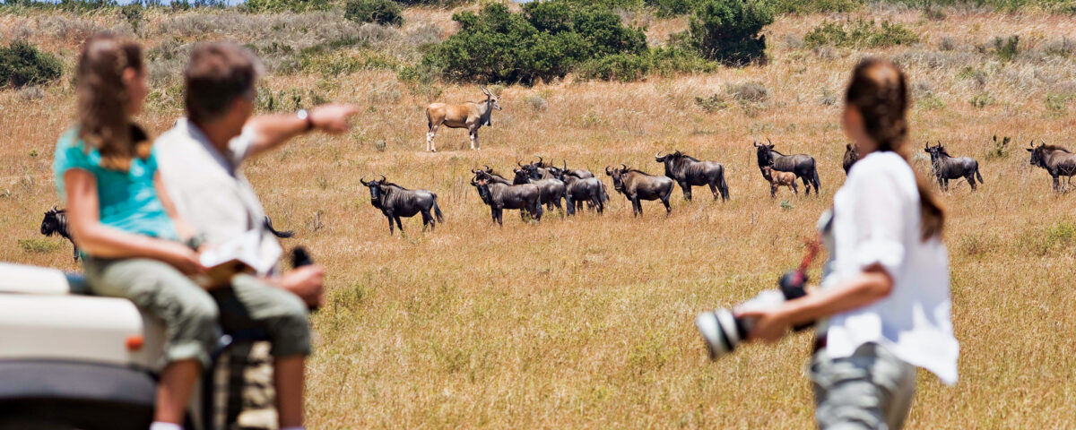 What Is the Best Age to Go on a Safari?