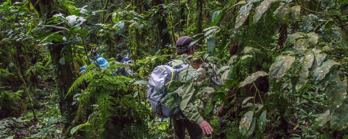 What’s the Best Time for Hiking in Uganda?