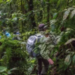 What’s the Best Time for Hiking in Uganda?