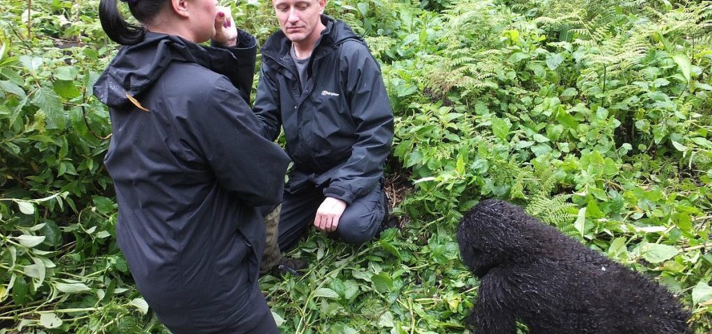 How Safe Is Gorilla Trekking in Rwanda?