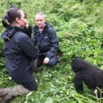 How Safe Is Gorilla Trekking in Rwanda?