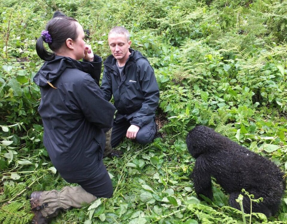 How Safe Is Gorilla Trekking in Rwanda?