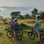 Are There Family-Friendly Safaris in Uganda?