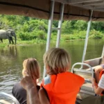 Can I Do a Safari in Uganda with Kids?