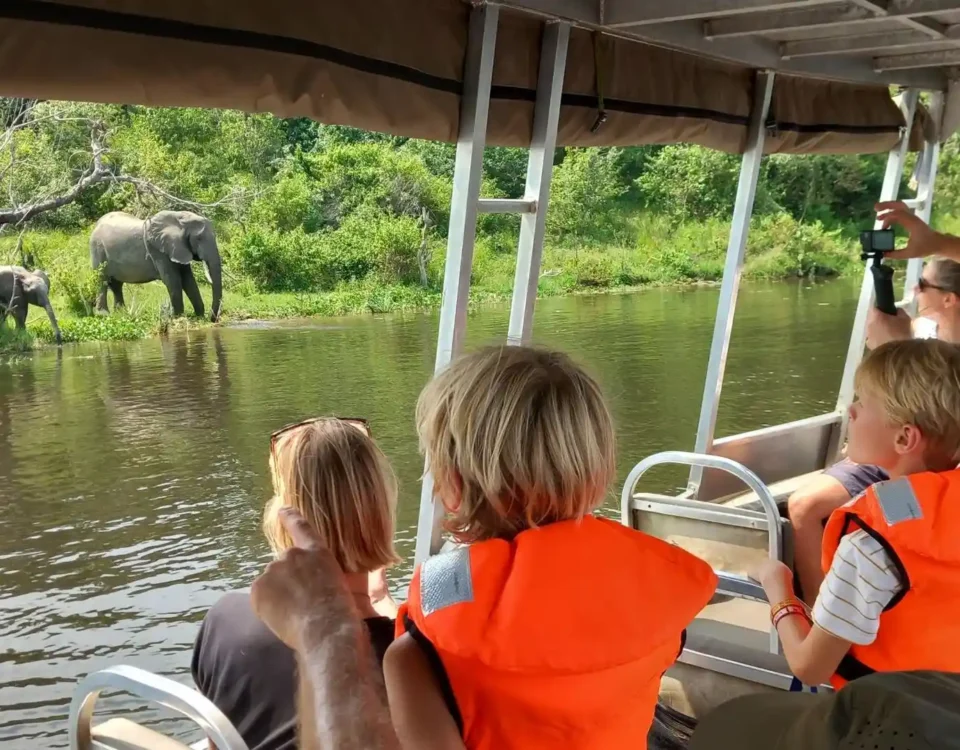 Can I Do a Safari in Uganda with Kids?