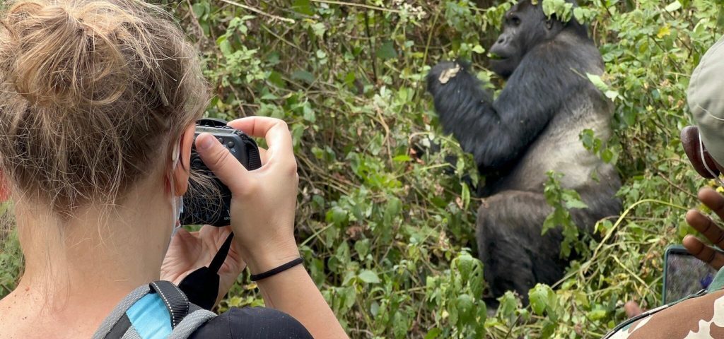 How Far Do You Have to Be from Gorillas Trekking?