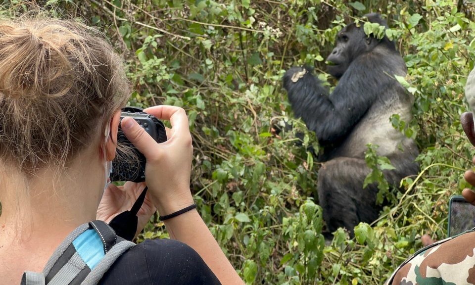 How Far Do You Have to Be from Gorillas Trekking?