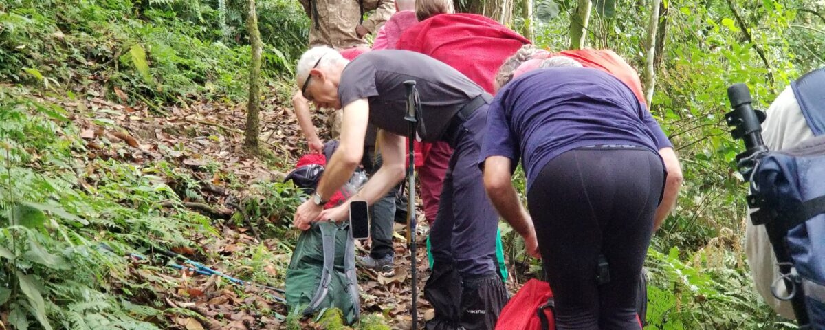 Are There Any Health Risks on a Uganda Safari?