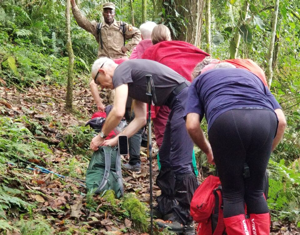 Are There Any Health Risks on a Uganda Safari?