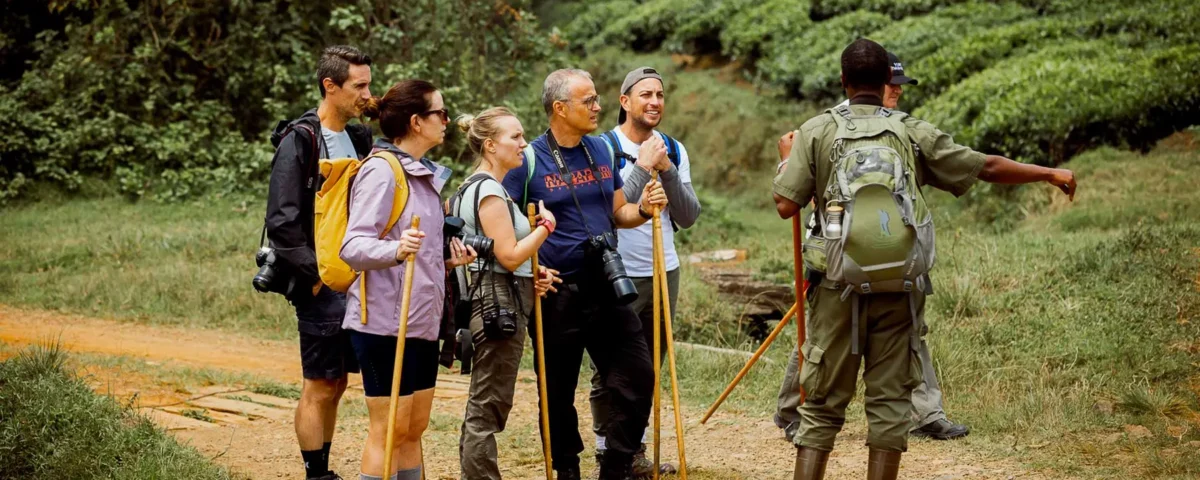 Can I Get Guided Tours in Uganda?