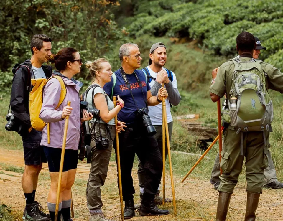 Can I Get Guided Tours in Uganda?