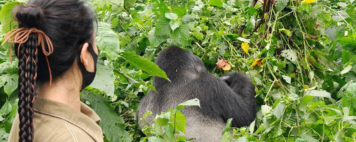 How Fit Do You Need to Be to Go Gorilla Trekking?