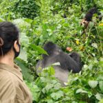 How Fit Do You Need to Be to Go Gorilla Trekking?