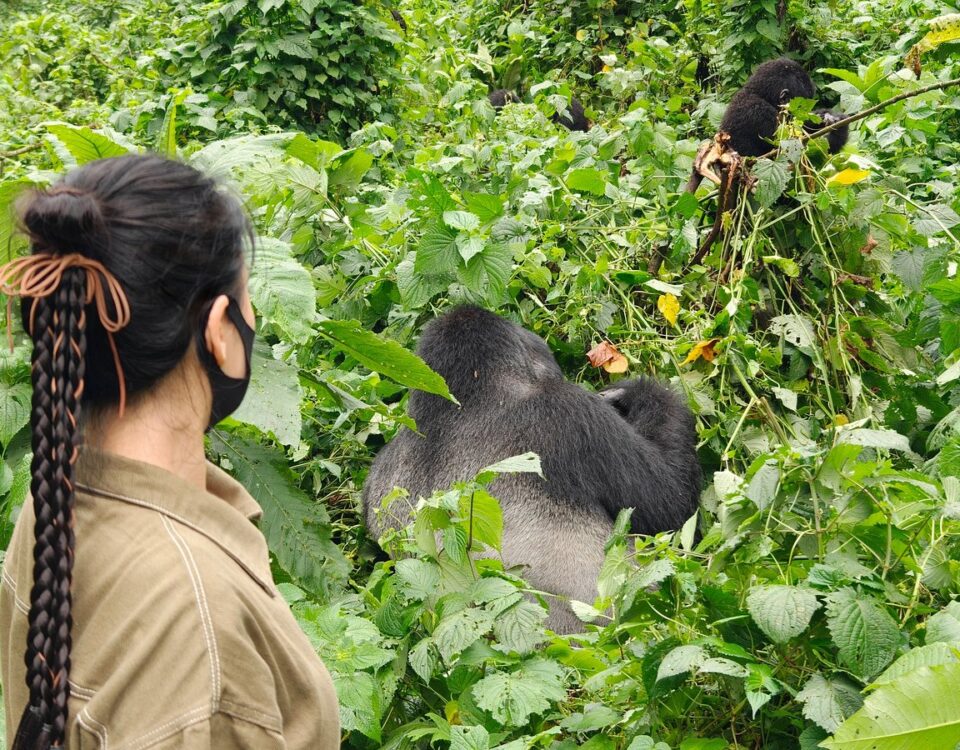 How Fit Do You Need to Be to Go Gorilla Trekking?