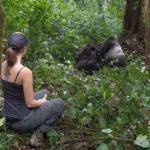 How Fit Do You Need to Be for Uganda Gorilla Trekking?