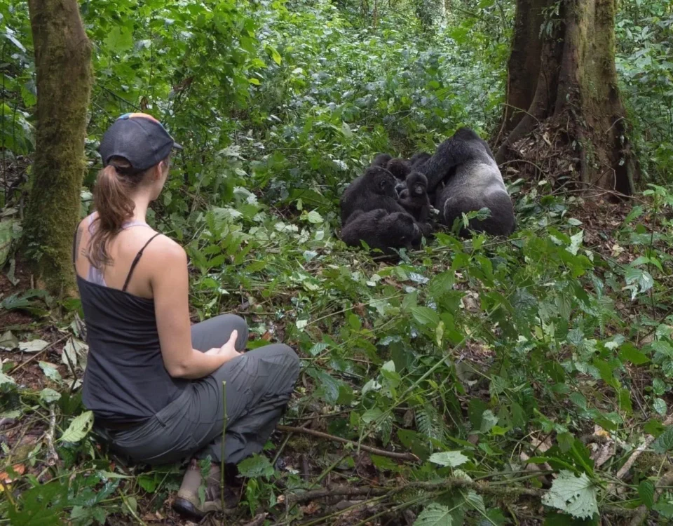 How Fit Do You Need to Be for Uganda Gorilla Trekking?