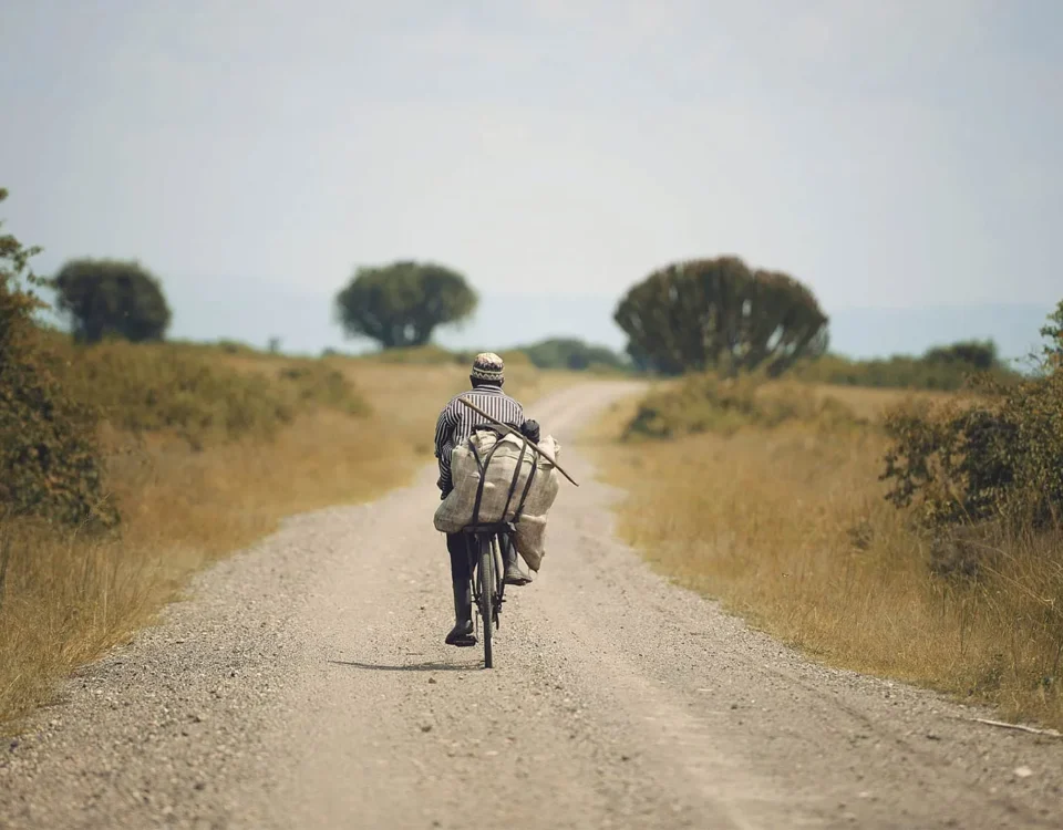 What’s the Tipping Culture Like on Uganda Safaris?