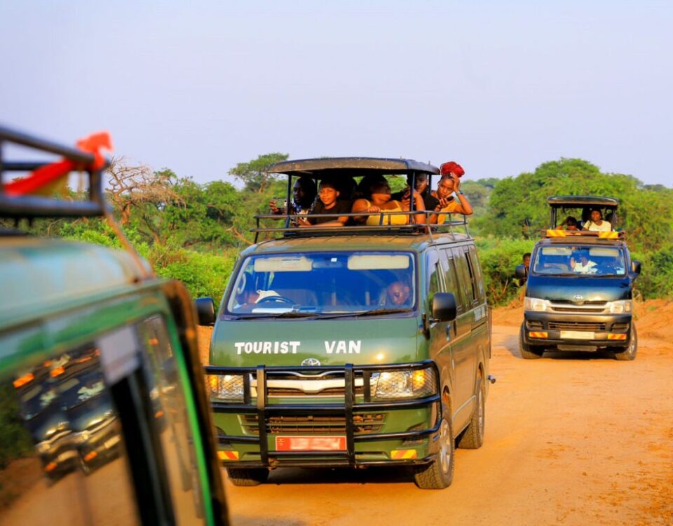 Can I Do a Private Safari in Uganda?
