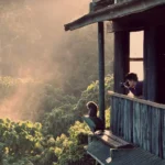 Can I Do a Photography Safari in Uganda?